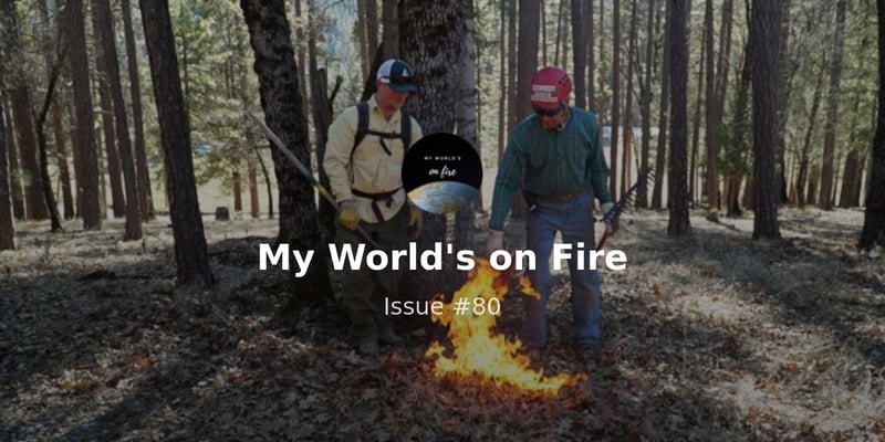 Behind-the-scenes of a prescribed burn