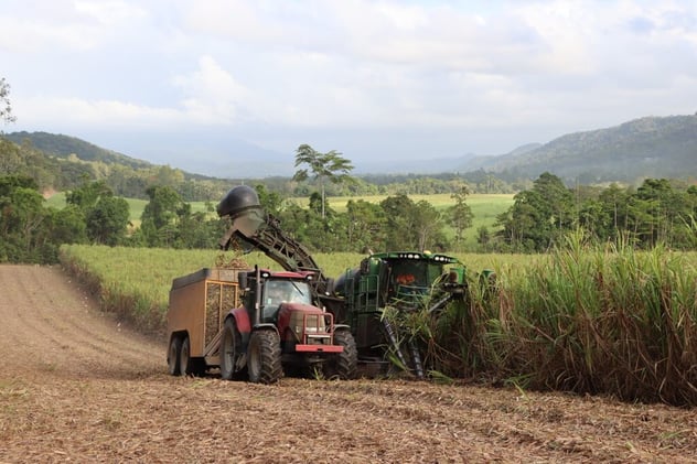 Newsport Alert Thursday 06 March 2025