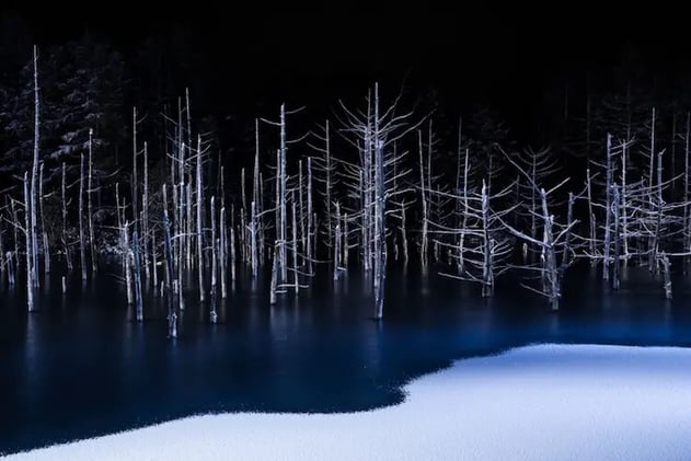 Los ganadores del Sony World Photography Awards 2017