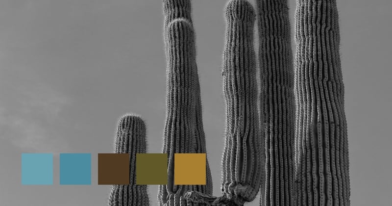 Live To Be 175 Years Old