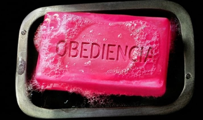 ¿Trump es Tyler Durden?