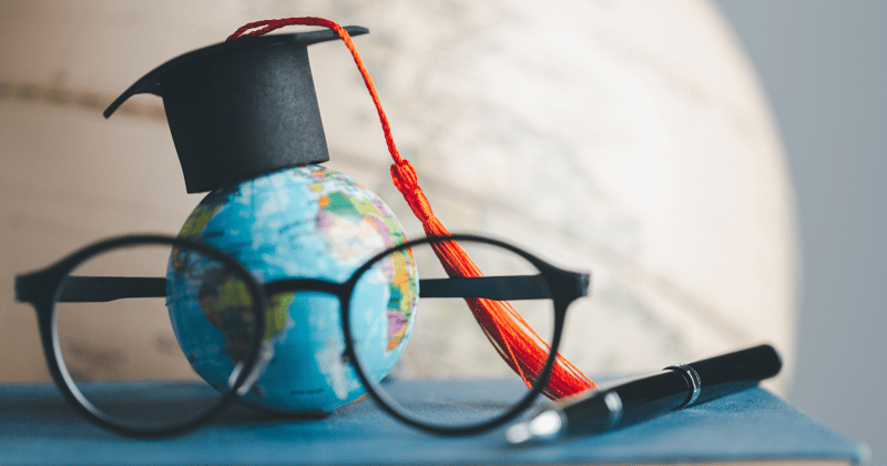 From Lunches to Learning: Global School Insights