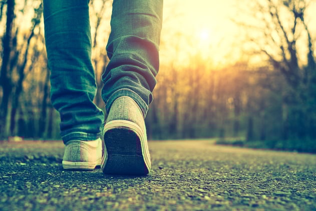 God Prepares the Way