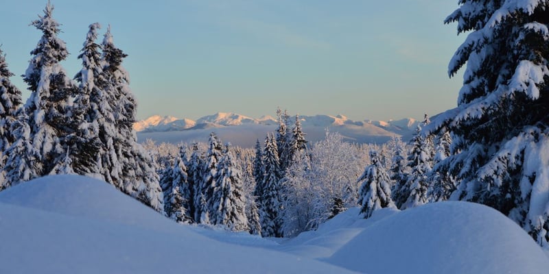 A Winter Trip With Snow, Cowboys, and Zero Crowds