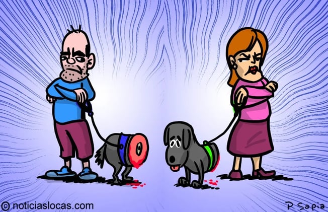 Jueza le ordena compartir la custodia de su perro con un vecino