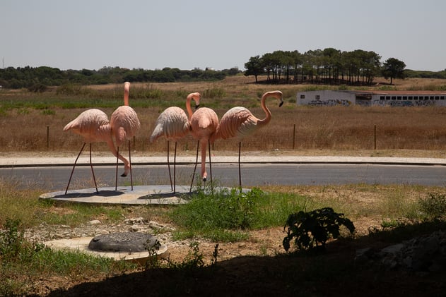 Issue 25: Inner Motion, Outer Order