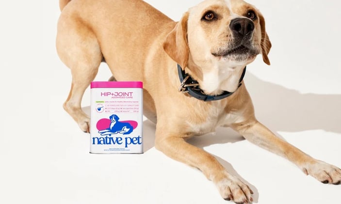 Native Pet’s Hip+Joint Advanced Care Review: Comprehensive Support for Senior Dogs