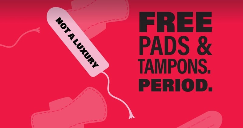 “A necessity, not a luxury”: Hamilton Library set to install dispenser for free pads and tampons