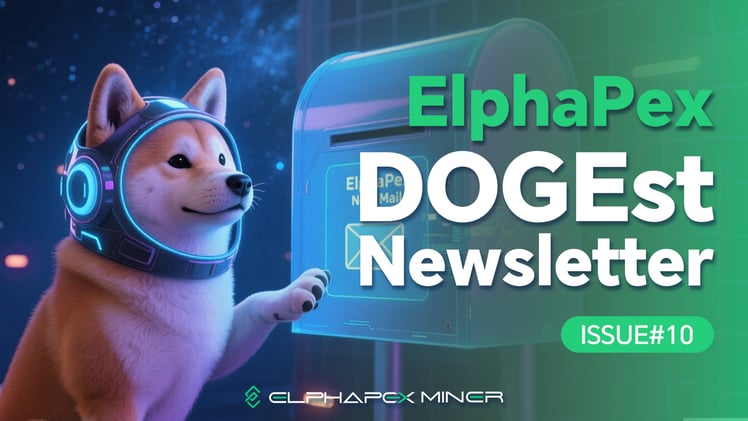 DOGEst Newsletter – Issue #10