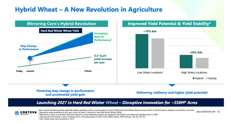 Revolutionizing Wheat: A Look at Corteva, and Competitors, Hybrid Wheat Initiatives