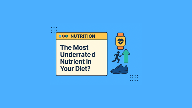 The Most Underrated Nutrient in Your Diet?