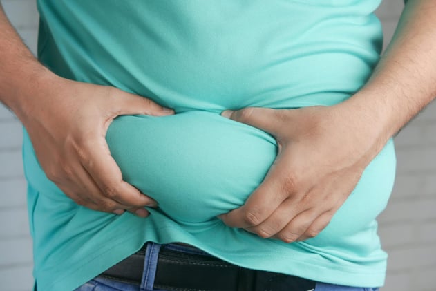 “Reprogramming” Visceral Fat