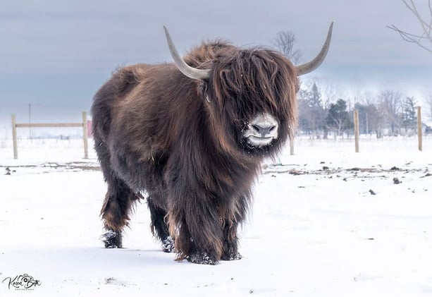 ☕️We Found the Best Small Town Coffee Shop