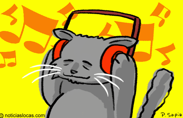 Lo nuevo para las mascotas: Música para gatos