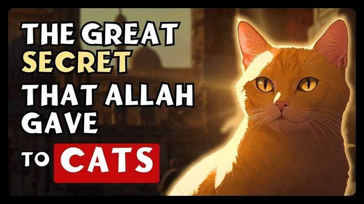 The Amazing Mystery of CATS in Islam