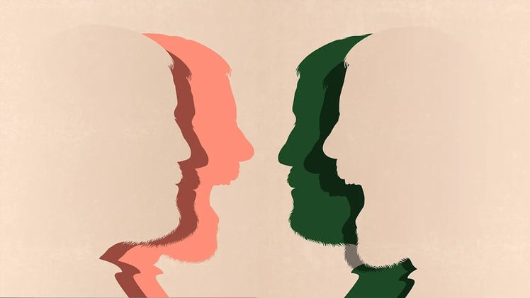 Emotional Triggers Explained Biologically: Why You React Before You Think