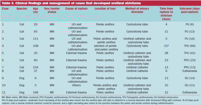 In case of urinary rupture, some cases can be managed medically.