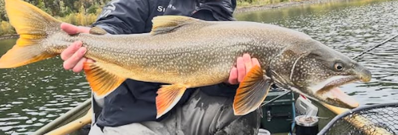Can You Really Eat Lake Trout? Here’s the Truth