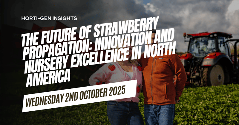 The Future of Strawberry Propagation: Innovation and Nursery Excellence in North America