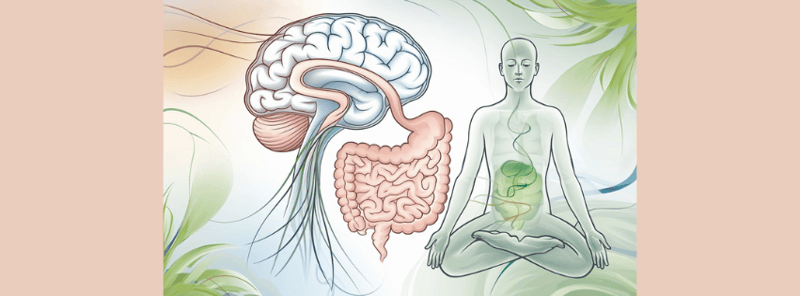 Gut Health: The Magic Starting Point for Feeling Amazing!