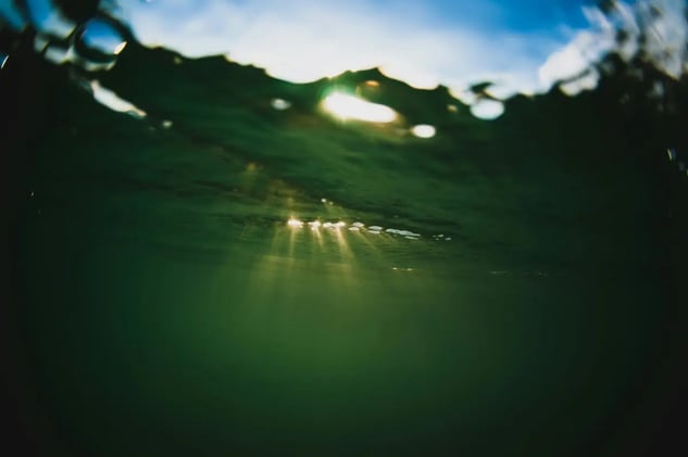 How to review creative work.