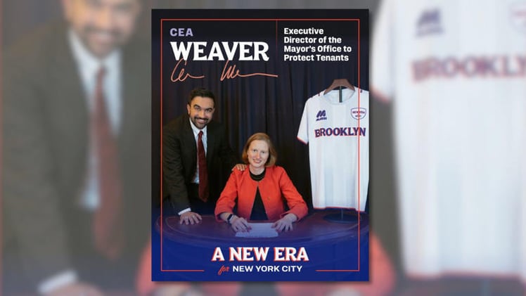 Salty Ginger Talk Newsletter