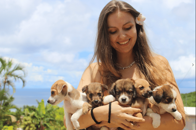 More Freezers or Adopters Needed 