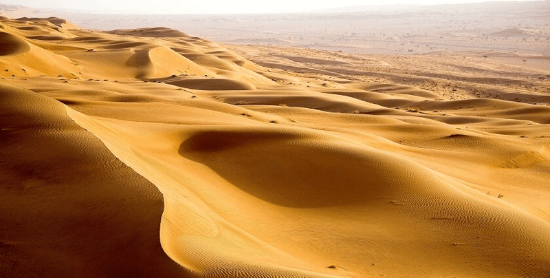 Exploring the Golden Sands of Oman