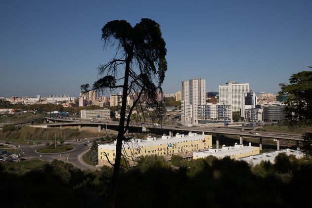 Issue 7: Arcadia Begins: Photography, Gardens, and a City Reframed
