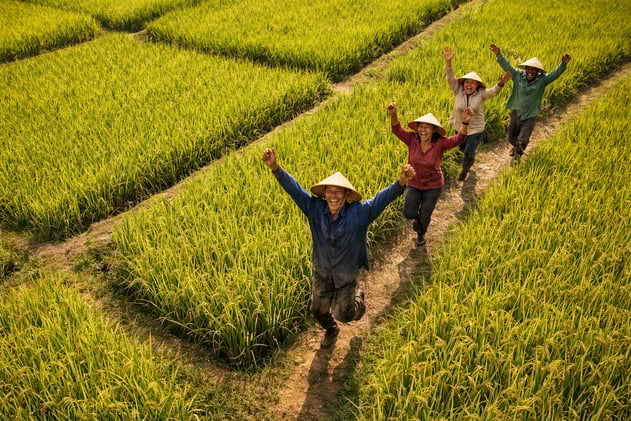 🌾Guayas: arroz y cacao reinan