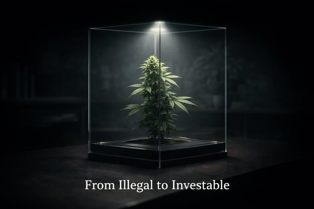 📈 Resilient Trader Trade Idea: The Cannabis Rescheduling Power Play on Green Thumb Industries (GTBIF)