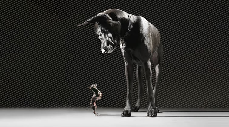 🔬👀The Art of Being Seen...👀