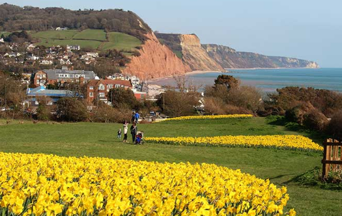 The Valley of a Million Bulbs