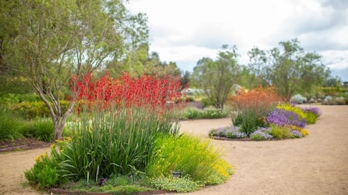 The Casey Scoop.  9th April 