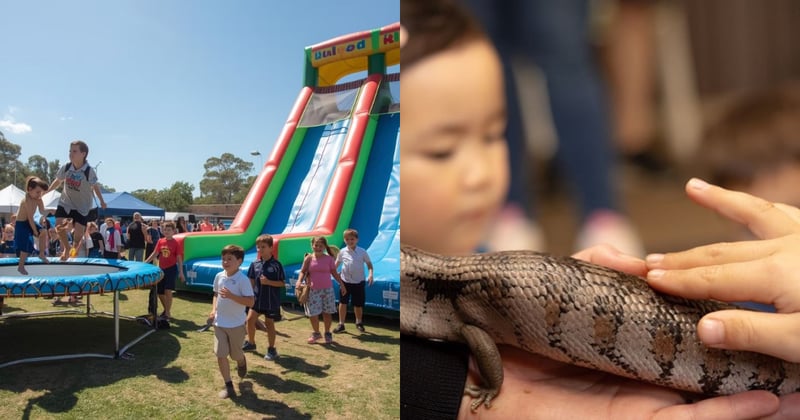 Family friendly events on the North Shore this November