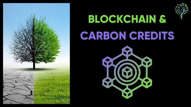 🌱 Moss.Earth: Paving the Way for Digital Carbon Offset Solutions