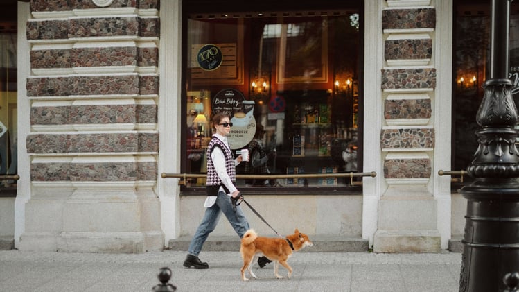 🐕 Are your dog's walks boring?