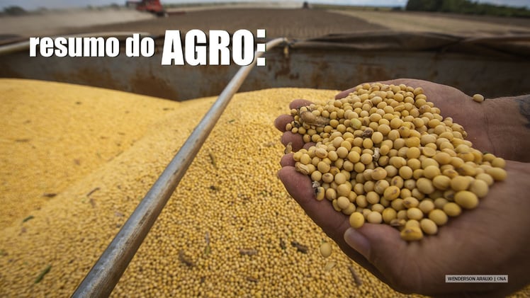 A riqueza que vem da soja