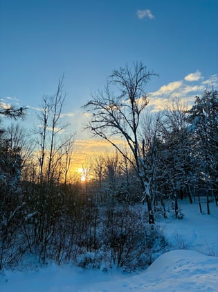 (Belated) Year in Reading & Writing