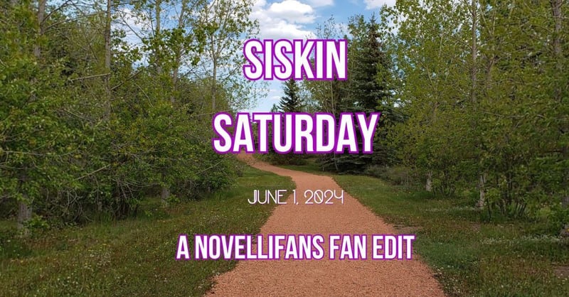 Siskin Saturday