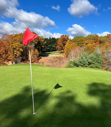 Search. Find. Lose. Repeat.