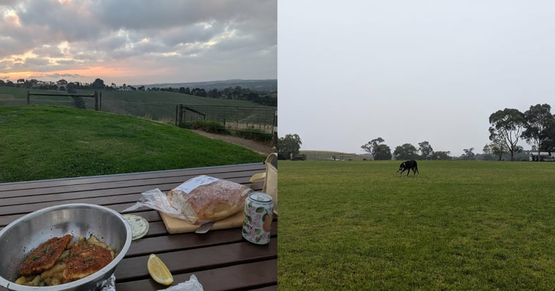 Newsletter: Put your money where your glass bin is