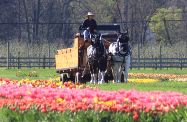 Weekly Roundup 4/14/2026