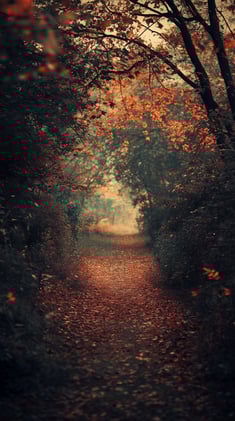 CoolNerdStuff | Daily Wallpapers 9/20