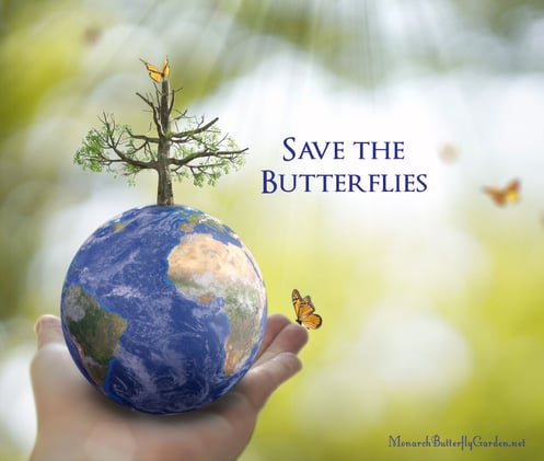 🦋🌍 Day Pledge to SAVE Monarchs 🙌