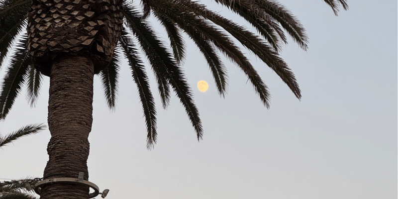 November in the South Bay