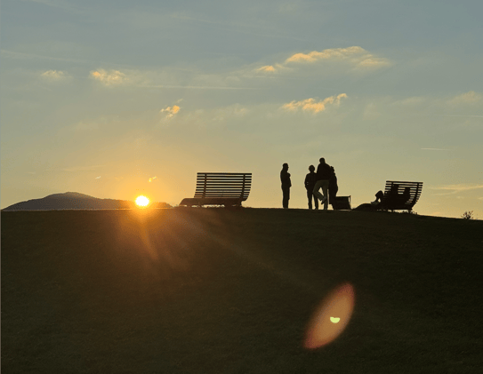Was der Wald uns lehrt, das die KI niemals kann