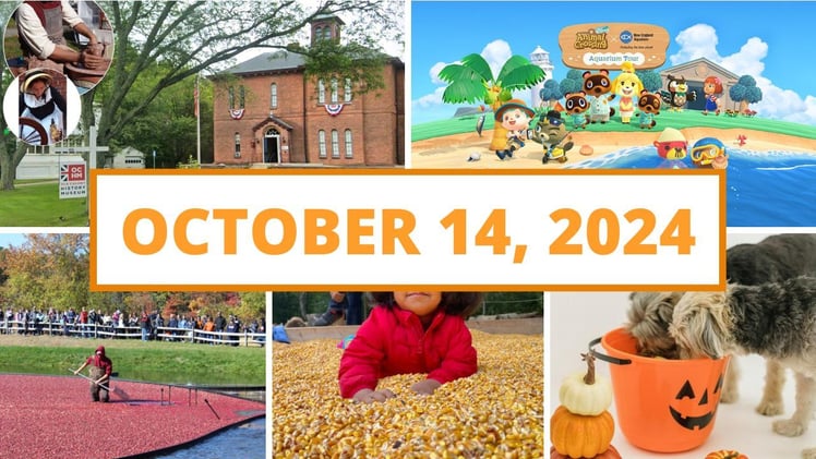 Fun & free annual corn festival returns, and a new adventure arrives at the New England Aquarium!