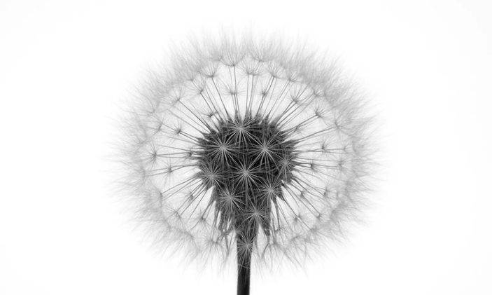 The Courage to Say “I Don’t Know”