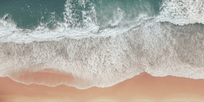 Change Is Constant. Here’s How Great Leaders Thrive.